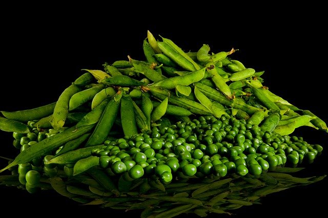 Peas - A plant food rich in protein